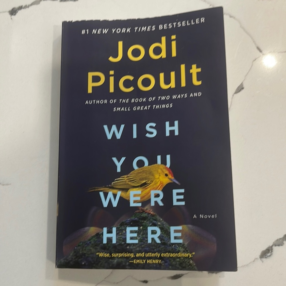 Wish you were here by Jodi Picoult